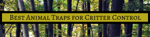 best animal traps for sale near me