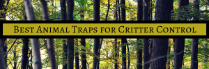 best animal traps for sale near me