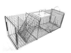 best raccoon trap bait amazon