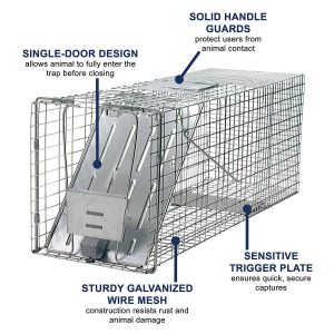 best raccoon trap sets